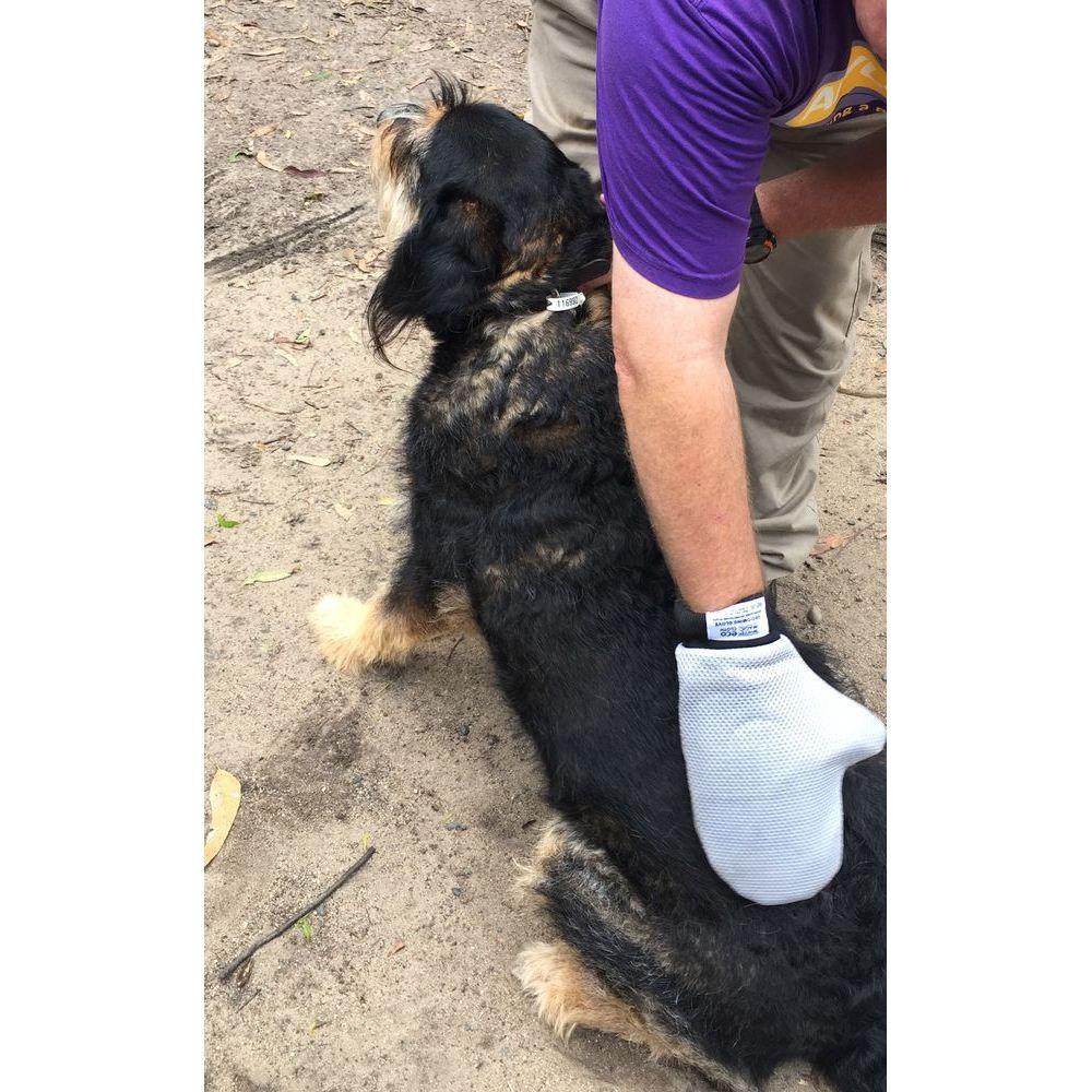 White Magic Pet Grooming Glove - Image 6